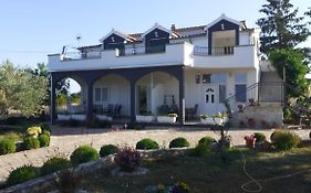 Apartment Viki